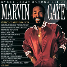 Every Great Motown Hit of Marvin Gaye album cover