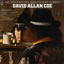 The Mysterious Rhinestone Cowboy album cover